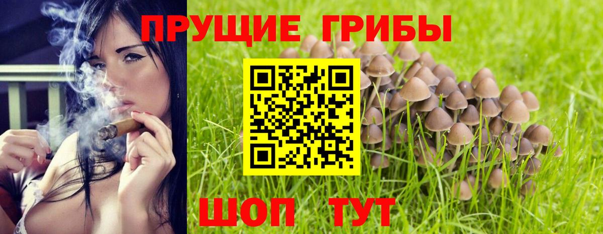 Ейск  Псилоцибиновые грибы ЛСД  Вход с VPN 