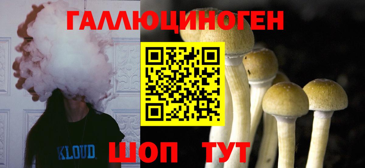 Псилоцибиновые грибы мухоморы Ейск